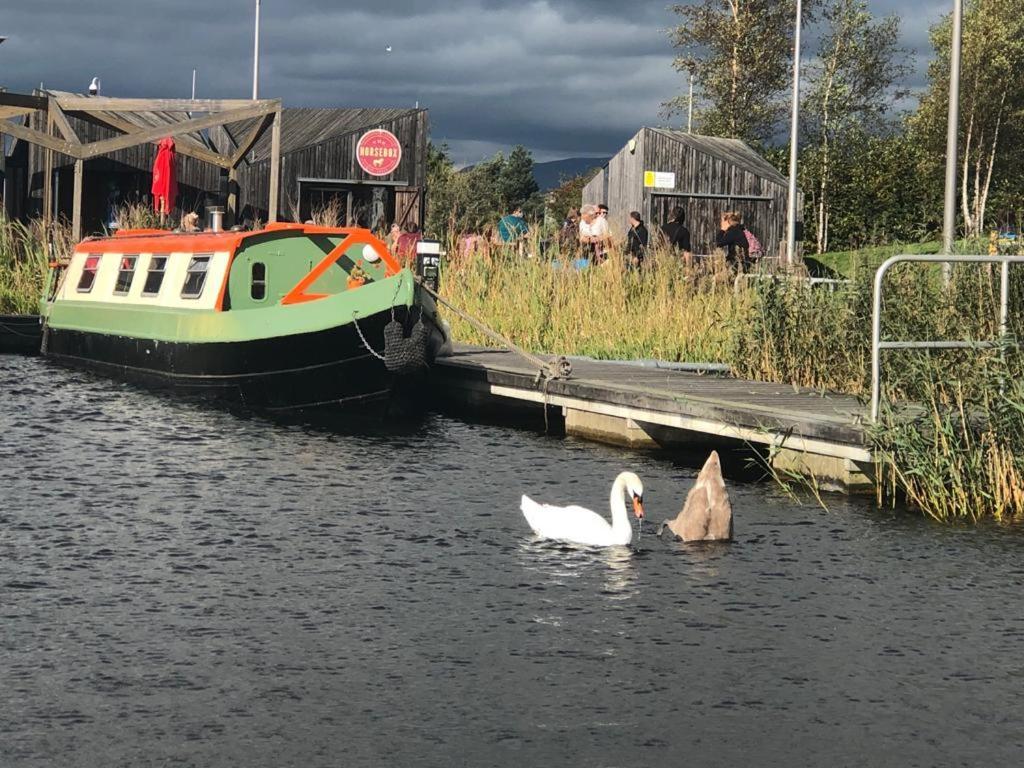 New 2022! Fixed Stay Characterful Narrowboat At The Kelpies, Marigold Sunset フォルカーク エクステリア 写真